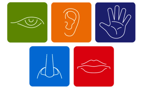Les cinq sens : voir, entendre, toucher, sentir, goûter