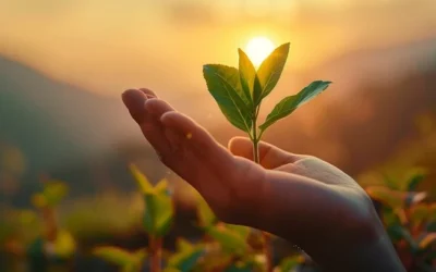 PNL et Saint-Valentin : 3 micro-gestes pour des relations plus légères