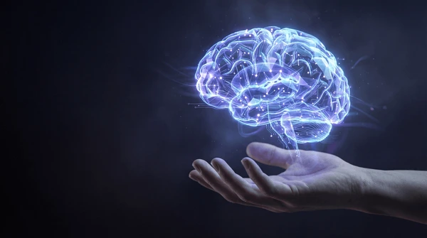 Le cerveau PNL au service de l'accompagnement professionnel comme les consultants, les formateurs ou les thérapeutes