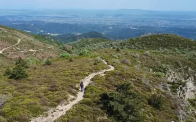 Contourner les résistances sans les affronter : l&rsquo;art subtil du médiateur